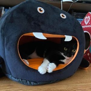 Meet your Posher, Deborah